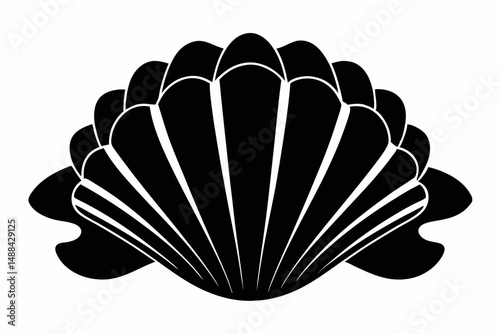 seashell silhouette line art vector illustration with a white background