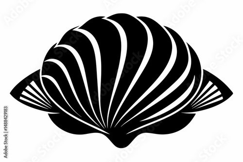 seashell silhouette line art vector illustration with a white background
