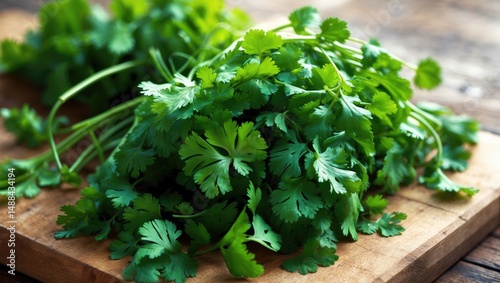 Aromatic bundle of cilantro on a wooden background. Close-up shot photo