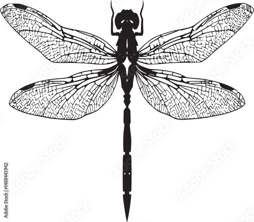 black and white silhouette tattoo of dragonfly