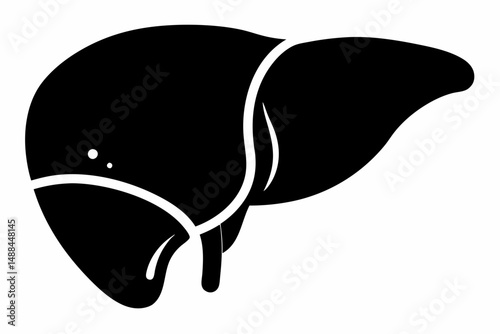 liver silhouette line art vector illustration with a white background