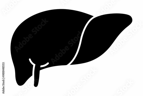 liver silhouette line art vector illustration with a white background