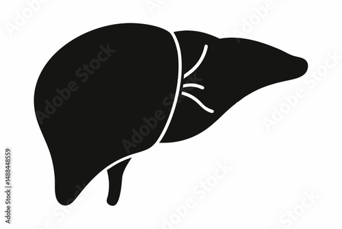 liver silhouette line art vector illustration with a white background