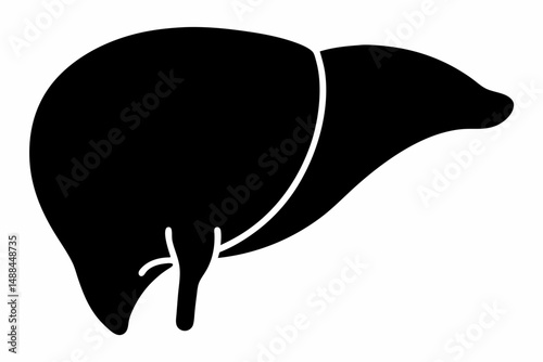 liver silhouette line art vector illustration with a white background