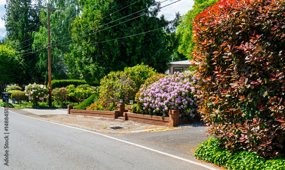 Obraz premium House And Garden 2