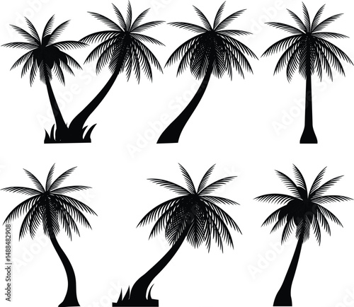Tropical Serenity Vector Palm Tree