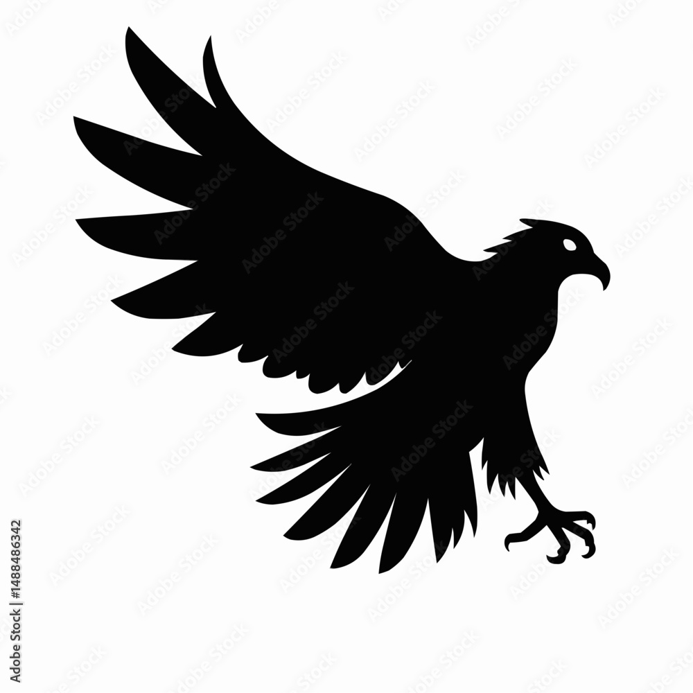 Obraz premium eagle with wings