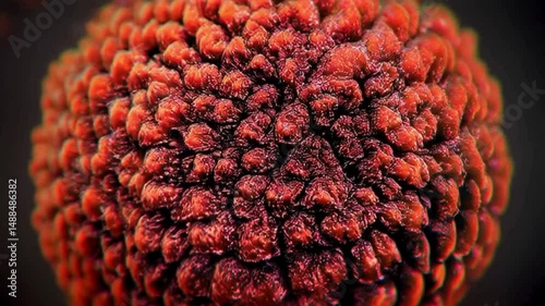 Metamorfosis de textura en un instante
