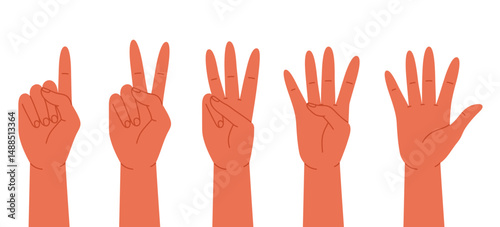 Human hands counting from one to five with raised fingers. Finger-counting. Math and education. Sign language or counting concept. Vector illustration in cartoon style. Isolated on white