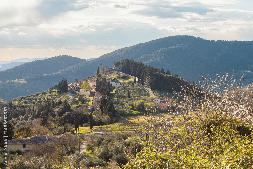 Obraz premium colline toscane, paesaggio. 