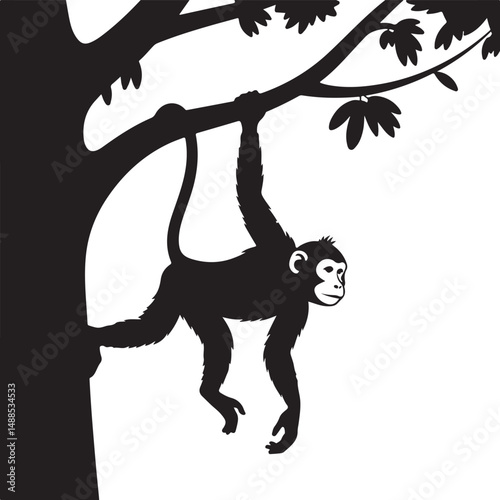 Silhouette of Monkey Hanging from Tree Branch