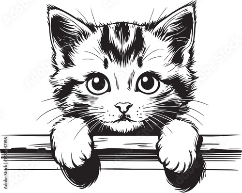 Cute Kitten Line Art – Black and White Cat Drawing Vector Illustration