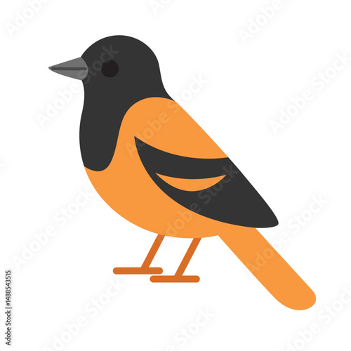 Cute baltimore oriole bird. Suitable for nature blogs, wildlife articles, birdwatching resources, or educational materials