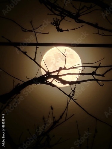 Moon In The Background 