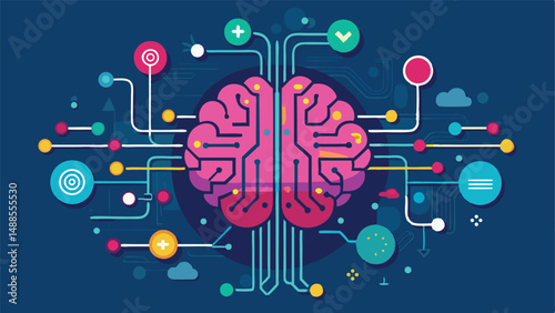 human brain anatomy
