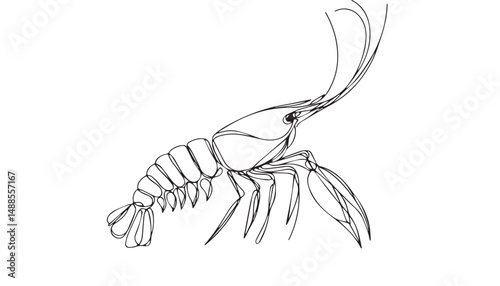 Continuous one single minimal line drawing Spiny lobster