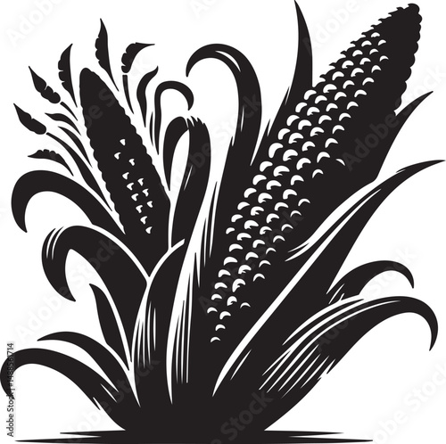 Maize high quality black and white vector