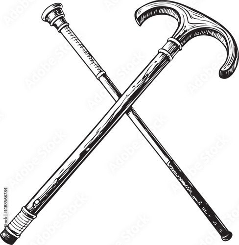 Canes or Cane Black and White Vector Illustration, Sketch Drawing Line Linear Symbol Icon Engraving, Hand-drawn Isolated