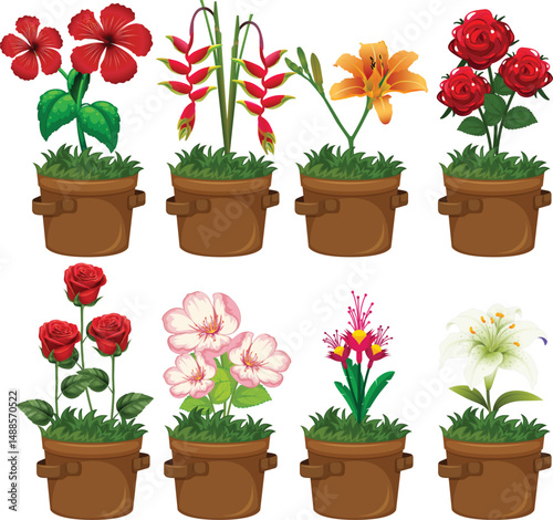 silhouette of a colorful flowers in pot