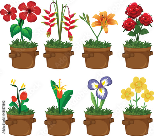 silhouette of a colorful flowers in pot