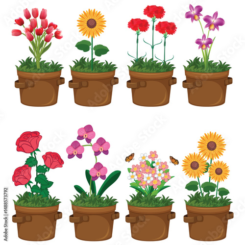 silhouette of a colorful flowers in pot