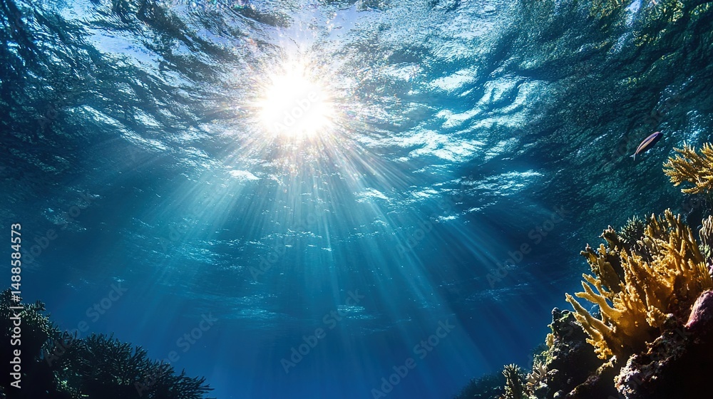 Fototapeta premium Sunlight Streaming Through Water Over Coral Reef