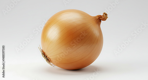 Wallpaper Mural Whole Raw Brown Onion Still Life Studio Shot on White Background Torontodigital.ca