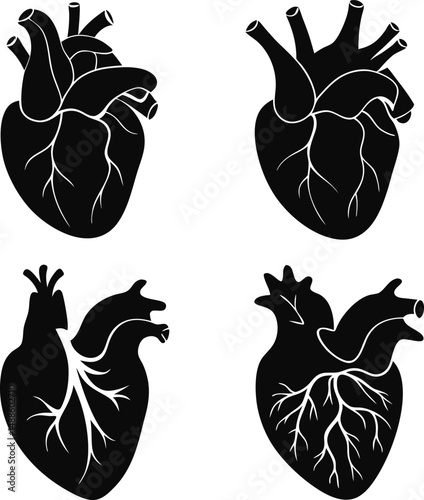 Black Anatomical Heart Vector for Medical Design