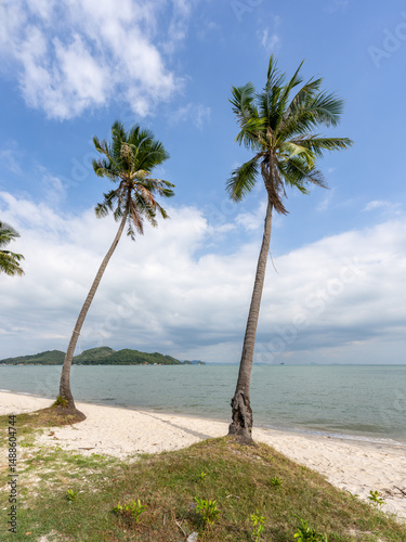 Two palm trees on the beach, Koh Yao Yai, Thailand