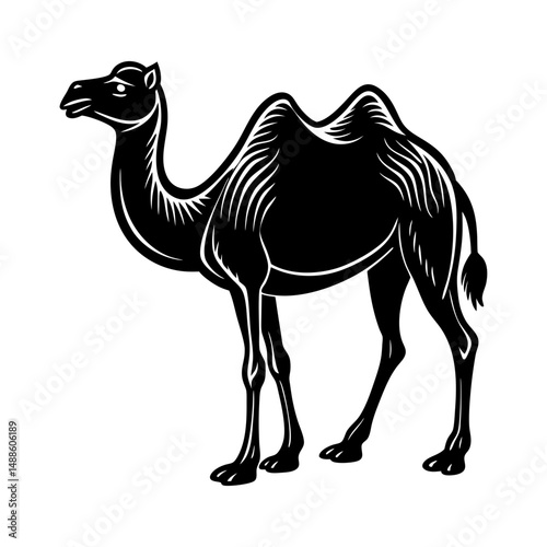 camel a large camel with two humps silhouette vector