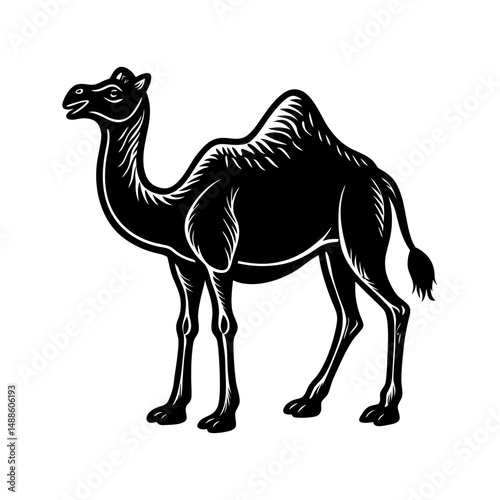 camel a large camel with two humps silhouette vector