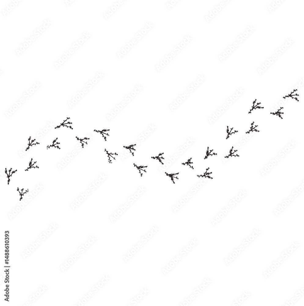 Obraz premium bird tracks,chicken tracks icon,vector illustration 
