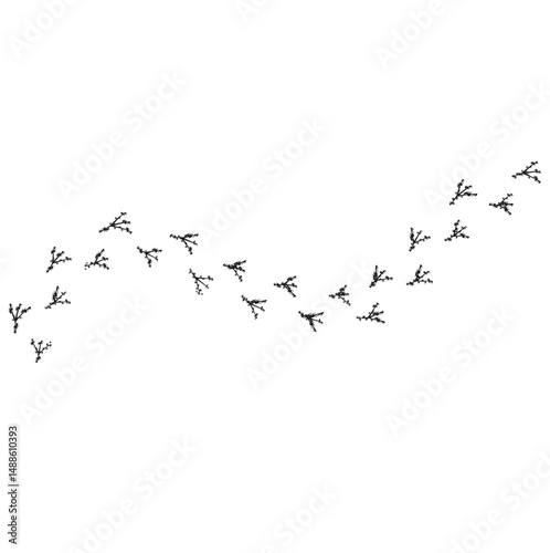 bird tracks,chicken tracks icon,vector illustration	