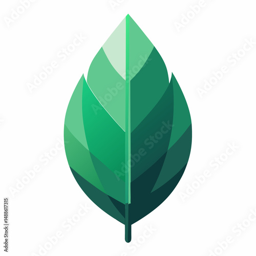 green leaf on white