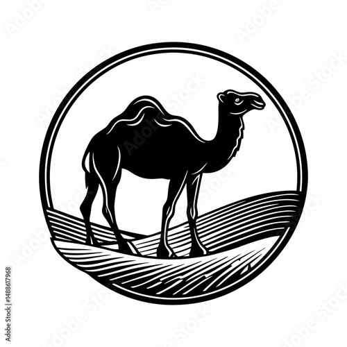 camel silhouette landscape 