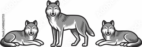 Vector icon set of three wolves in various poses on white