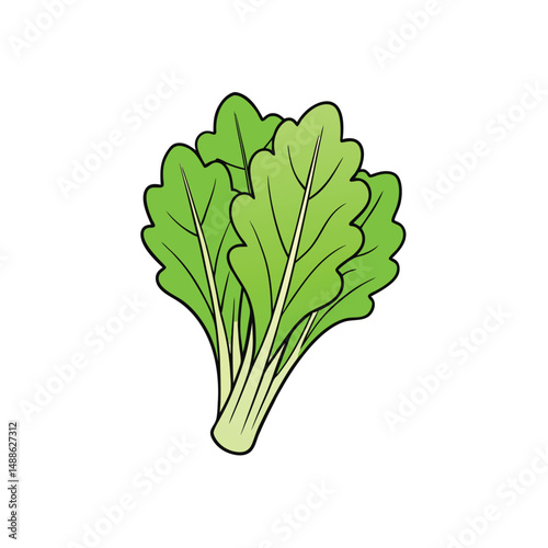 Fresh Mizuna Lettuce Leaves Illustration Vibrant Green Leafy Vegetable Graphic
