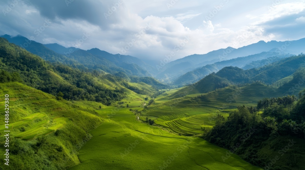 Obraz premium A drone shot capturing the endless curves of rice terraces, beautifully blending with the contours of the mountains,