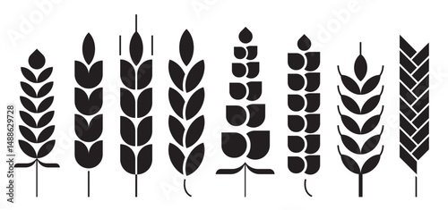 Cereal ear or spike outline icons. Wheat, rye, barley and millet vector natural grains. Yellow plant stalk for bread baking, isolated bakery, harvest and agriculture industry symbols. farm grains