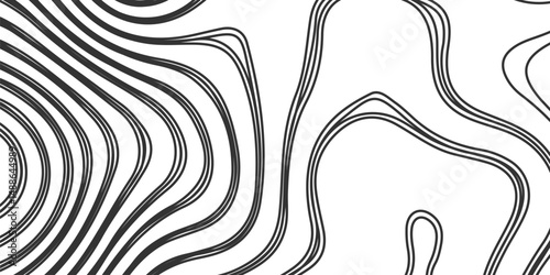 The lines should vary in thickness and brightness, abstract digital artwork featuring intricate topographic contour lines in fine detail, flowing smoothly and organically on the white background.