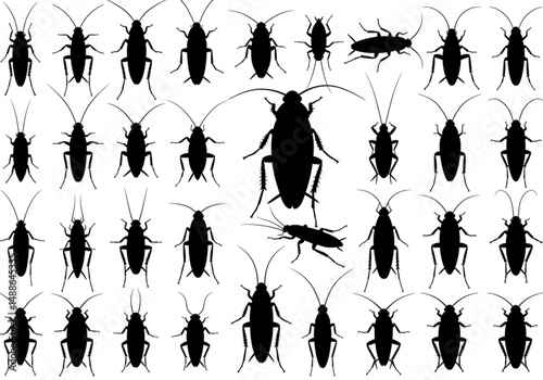 Silhouette Cockroach Illustration Variety Pack Featuring a Wide Range of Species and Postures Available for Use in Your Project