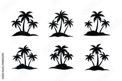 palm trees on the beach
