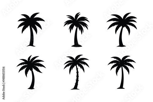 palm trees silhouettes