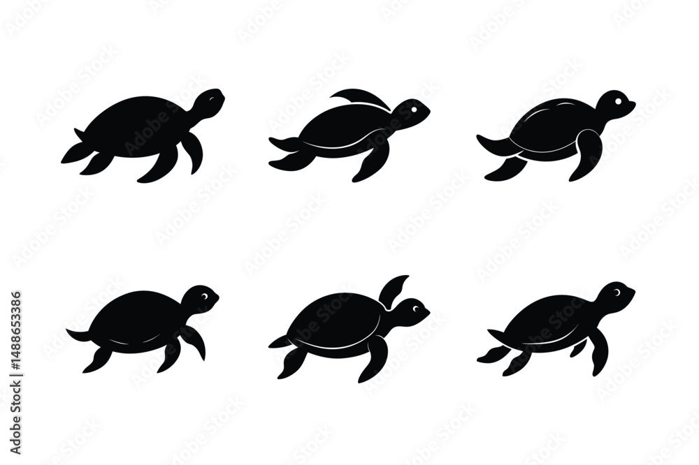 Obraz premium set of turtles