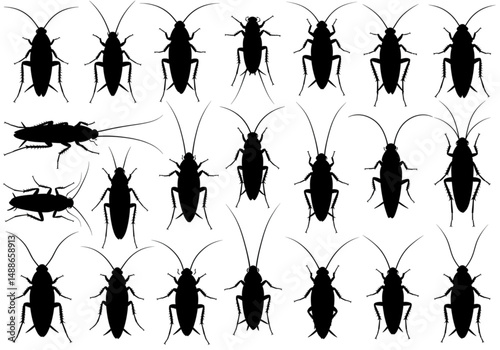 The Hidden World of Cockroaches Unveiling Their Secrets and Understanding Their Behavior for Effective Pest Control Solutions and Prevention Strategies