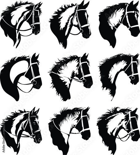 Horse head, Sizeable, Vector