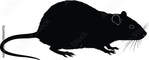 Cute cartoon vector illustration of a mouse and cheese with animal and wildlife elements