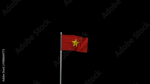 Vietnam Flag Video | Stock Motion Background