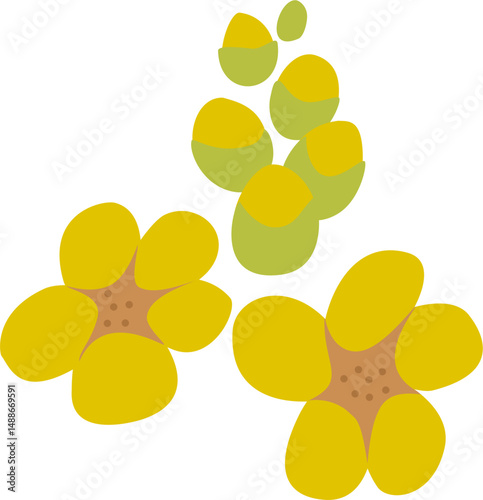 stylized Senna, food and beverage, herbal medicine