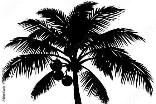 Silhouette of tropical palm tree with coconuts on white background, palm tree, coconut, silhouette, tropical, tree, island, vacation, beach, nature, summer, plant, exotic, cocos nucifera, paradise, co